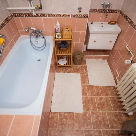 U Leny Apartment Ostrava
